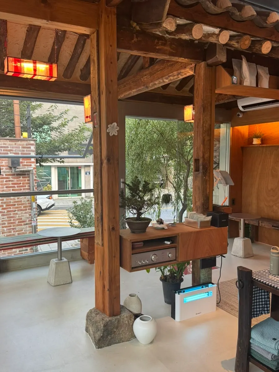 可看見植物裝飾與屋樑的韓屋咖啡廳內部