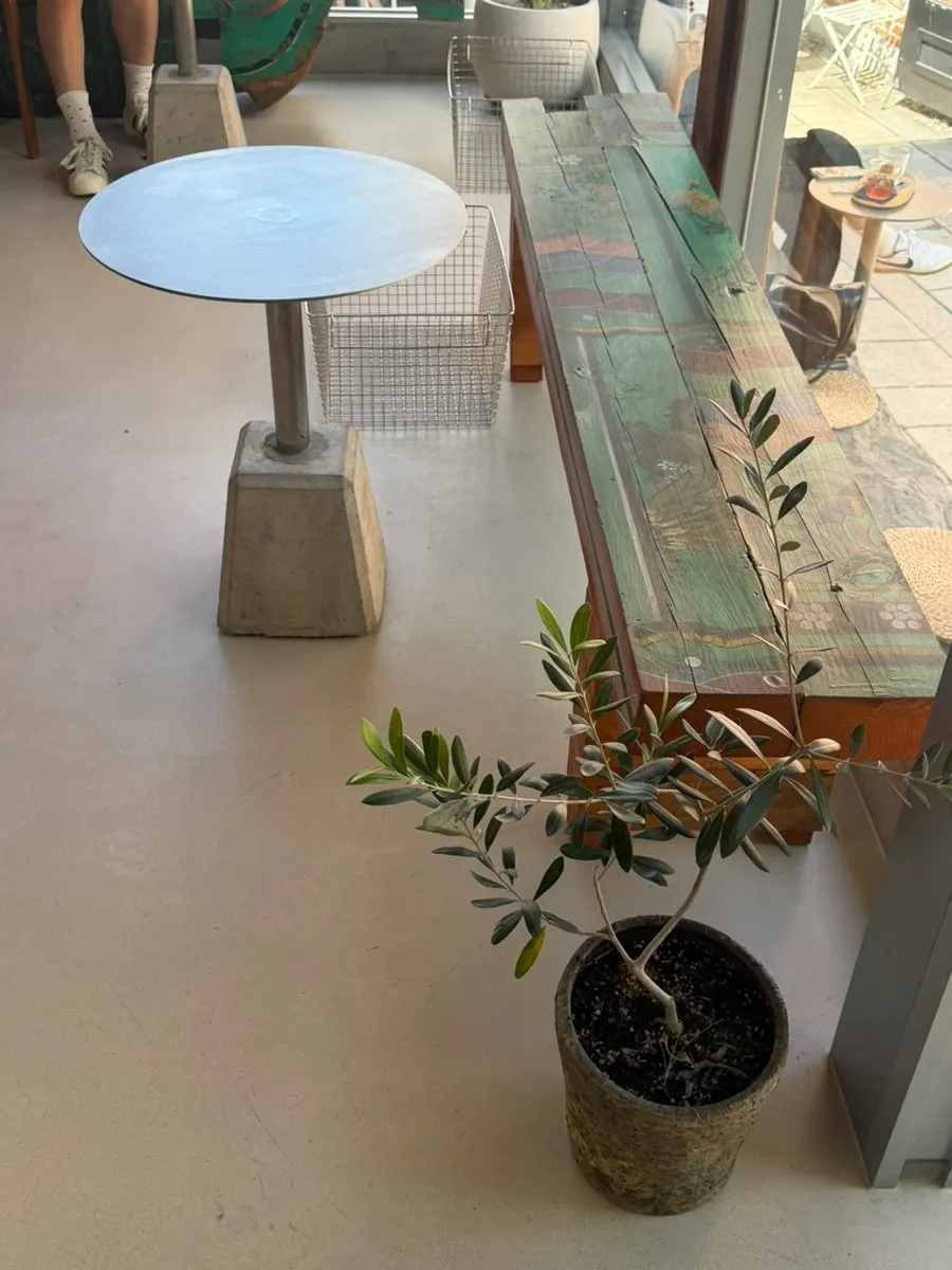Hanok interior design inside Oldsse Seochon