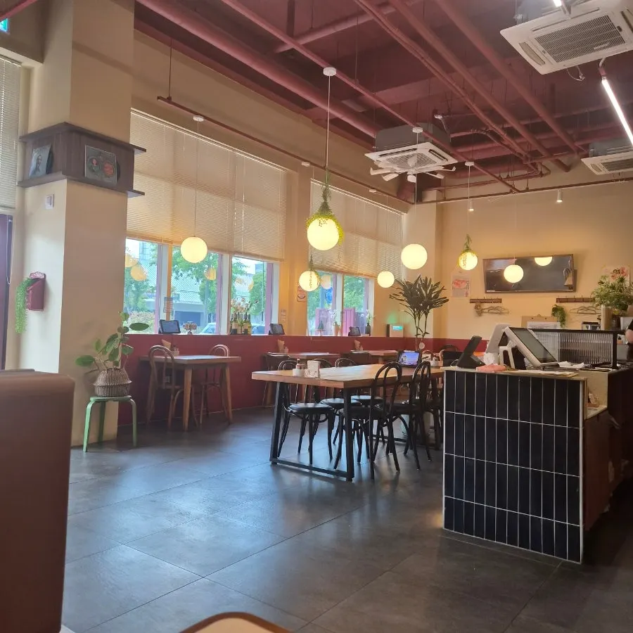 Interior of Olivus Compagno with green plants