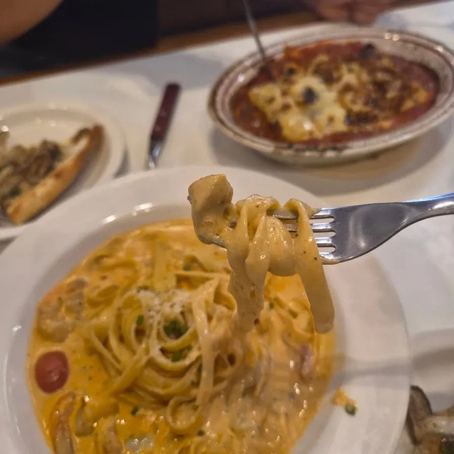 Fettuccine noodles coated in Tuumba sauce