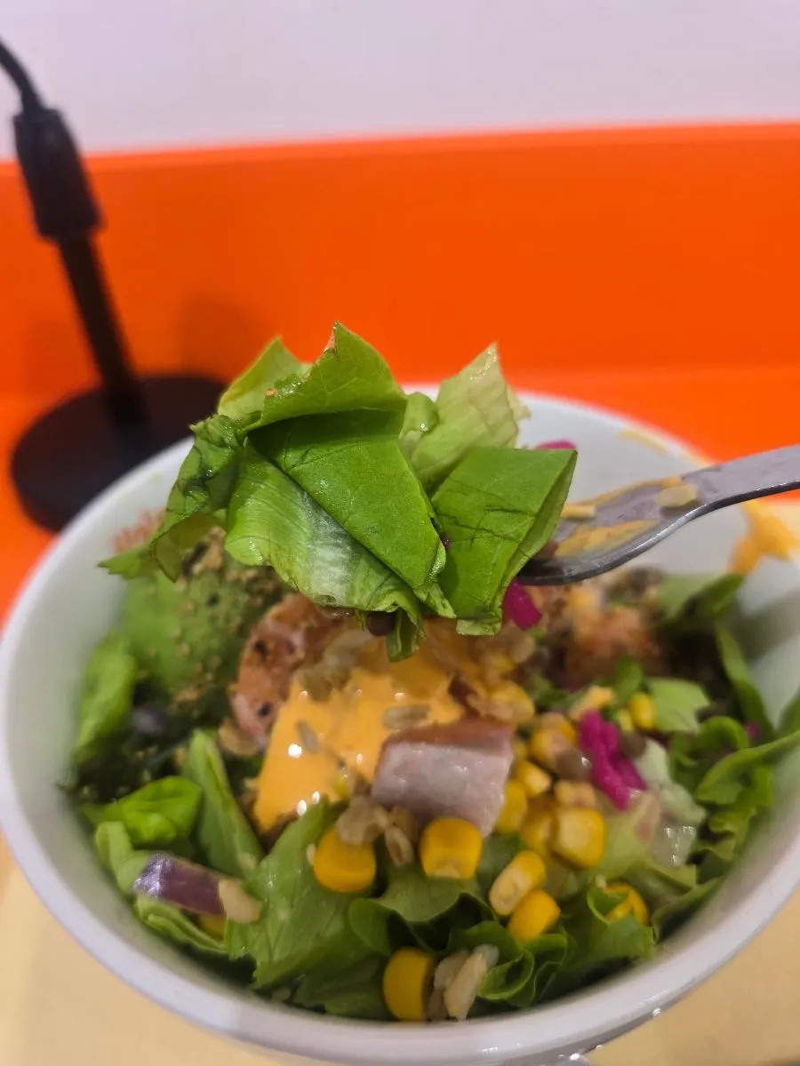 Final shot of the salmon poke at Hola Poke Seolleung Branch