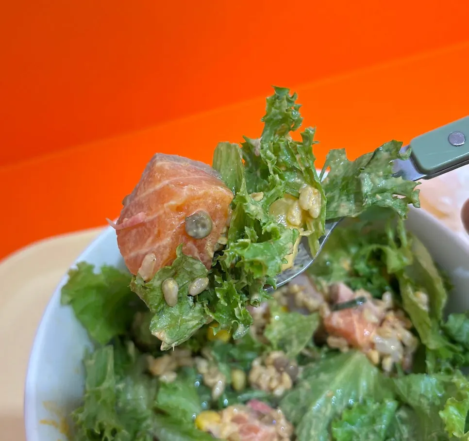 A spoonful of brown rice and salmon together