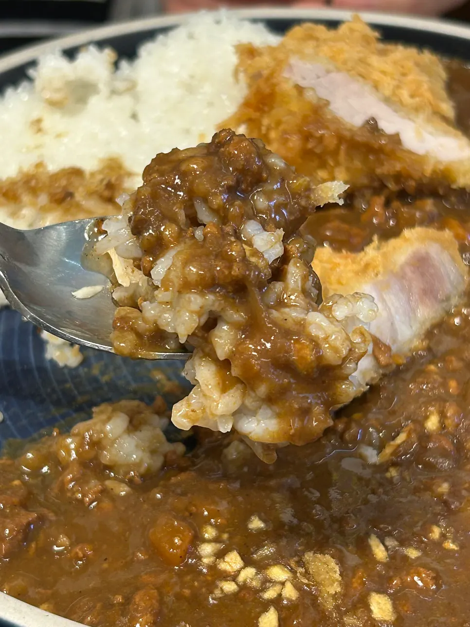 Rice soaked in curry with a piece of hire katsu