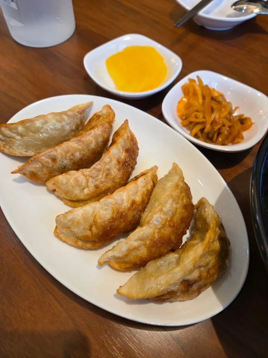 노릇하게 구워져 나온 군만두 한 접시