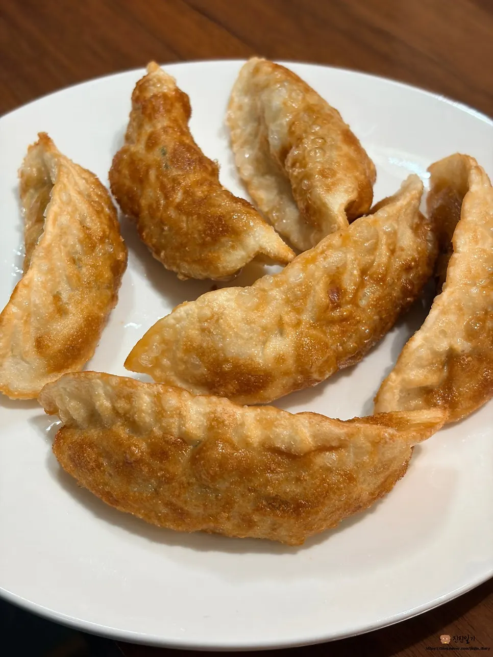 Crispy fried dumplings fresh from the kitchen