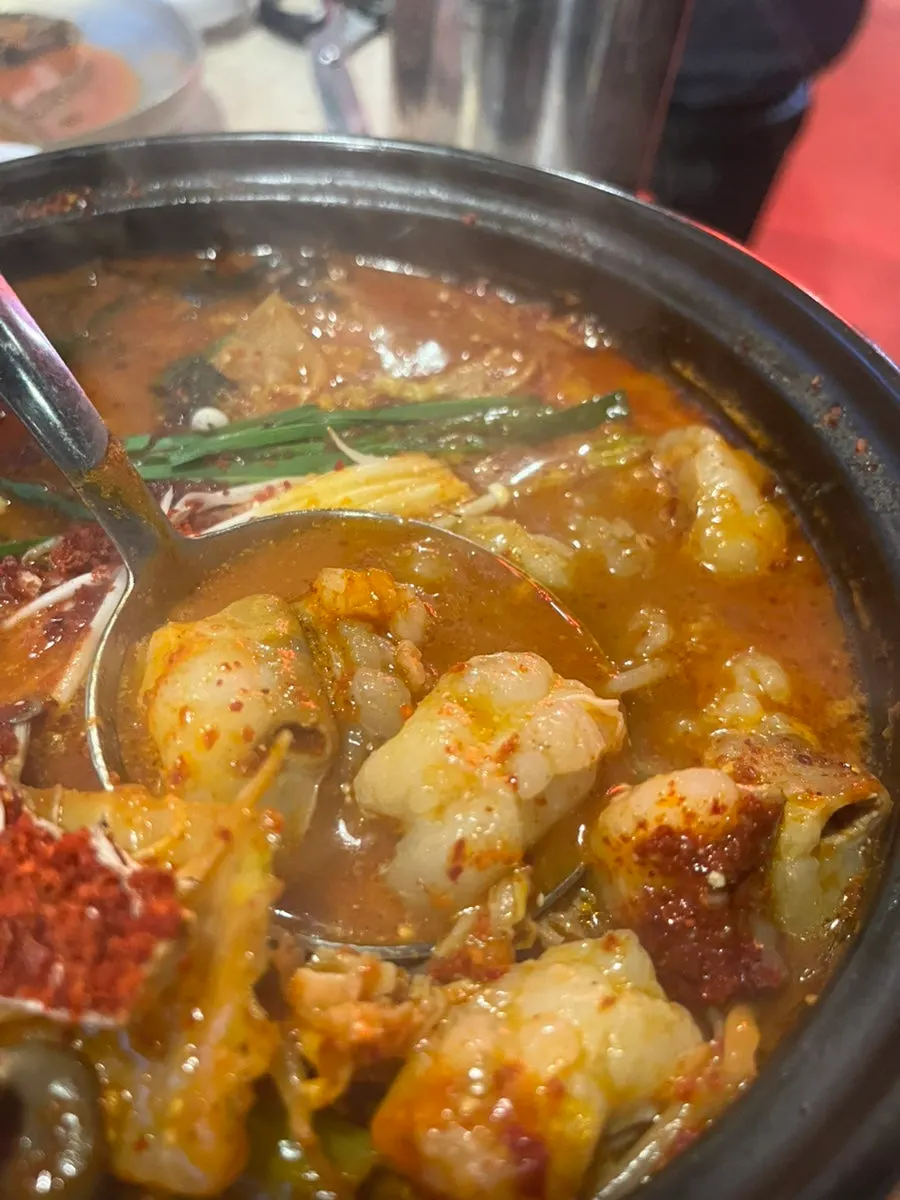 Rich ingredients in the gopchang hot pot
