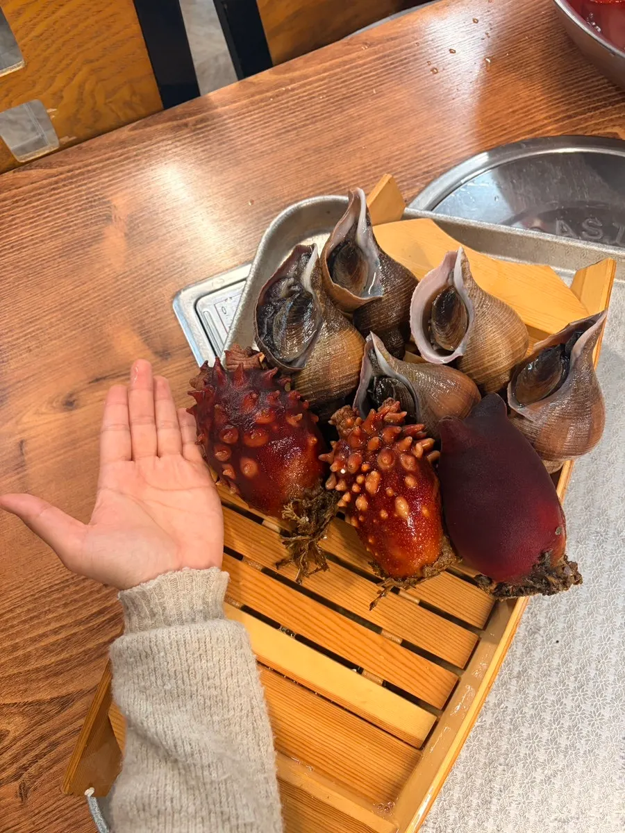 Hand-sized sea squirt and miidan sea squirt