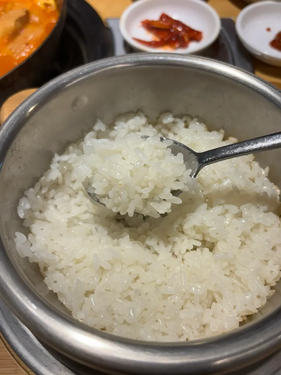 갓 지은 솥밥