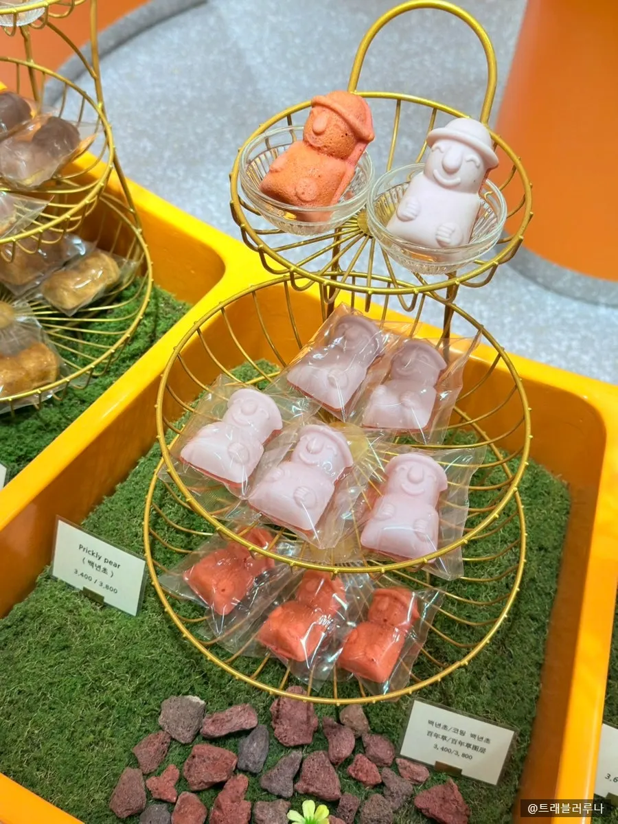 Display shelf of Harubangne madeleines including hallabong and matcha flavors
