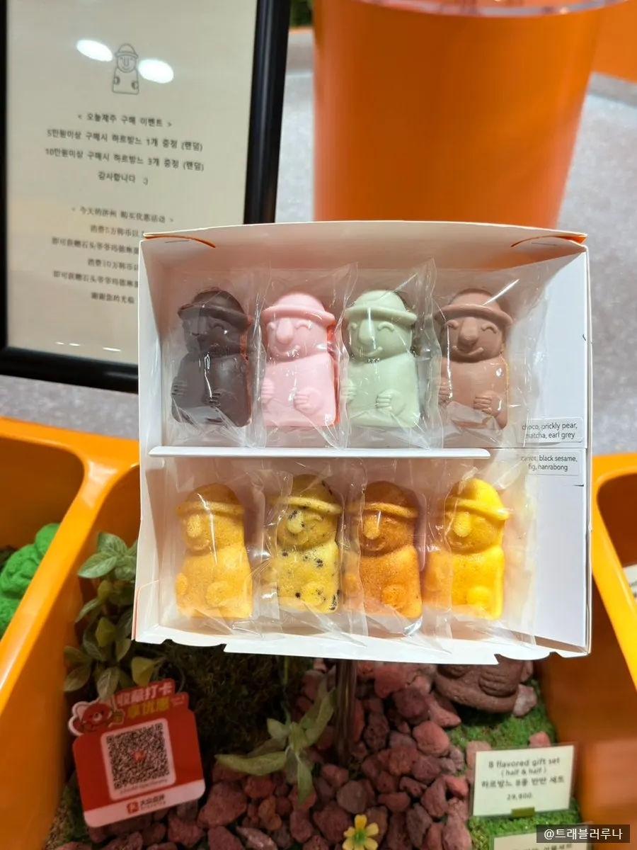 Packaging for the 8-flavor dol hareubang madeleine gift set