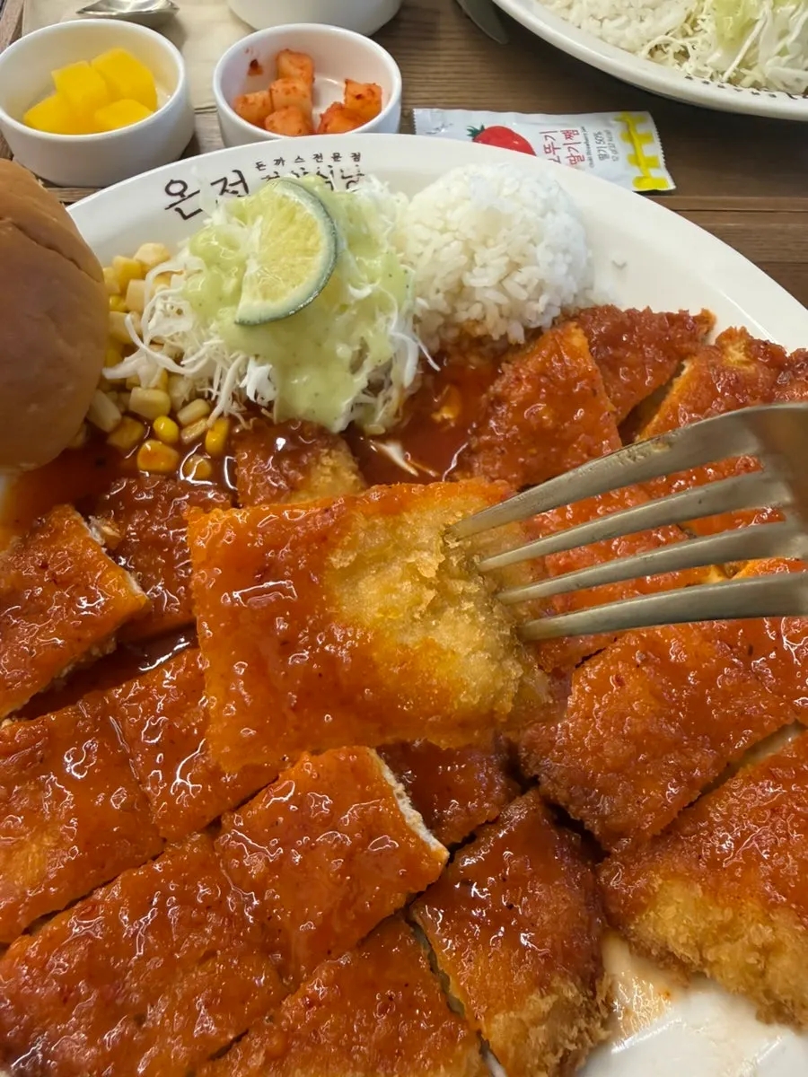 Pork cutlet showing its not-too-thick breading