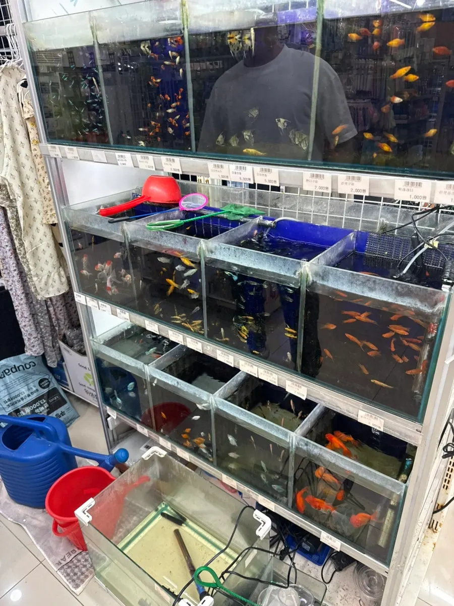 알록달록한 물고기가 있는 온생활 수족관 코너