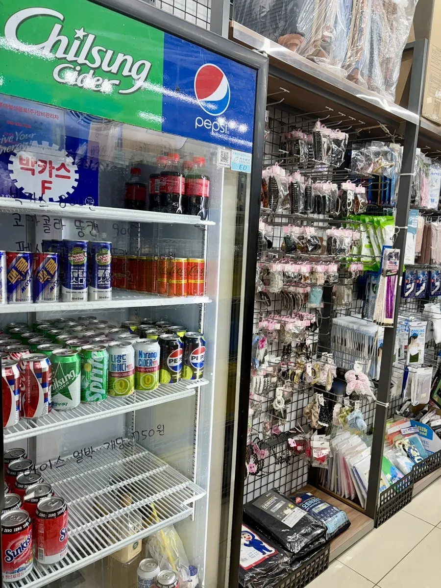 Refrigerator placed outside On Saenghwal