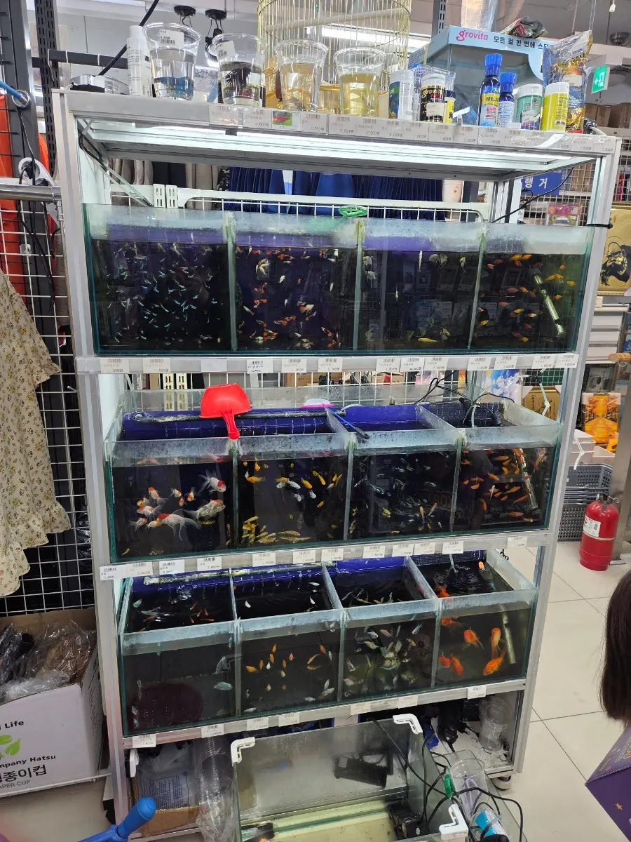 화로와 버너, 가스 등이 놓인 캠핑용품 코너
