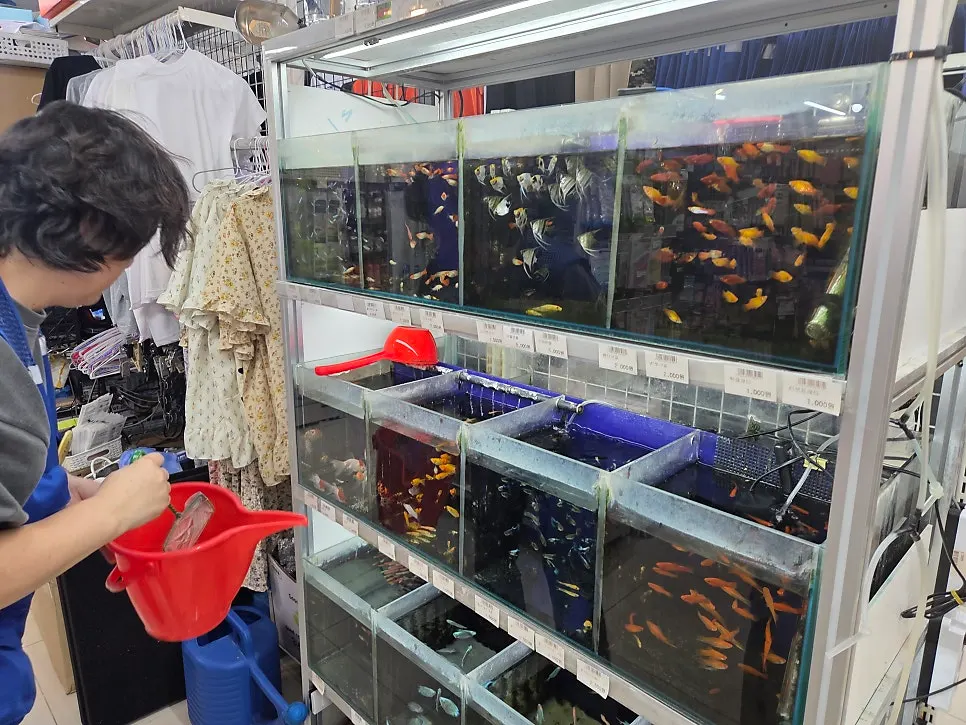 Aquarium supplies and tropical fish corner on the second floor