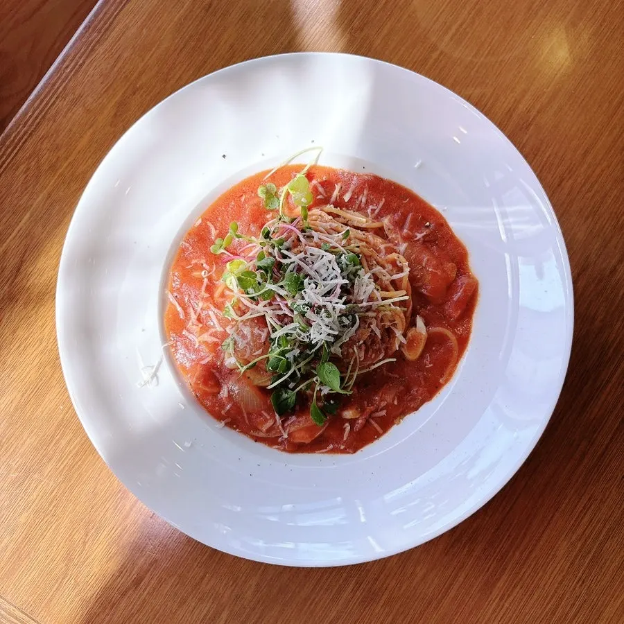 Close-up of pasta noodles coated in tomato sauce