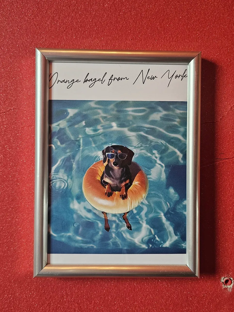 Kevin the dog bagel keyring goods at Orange Bagel