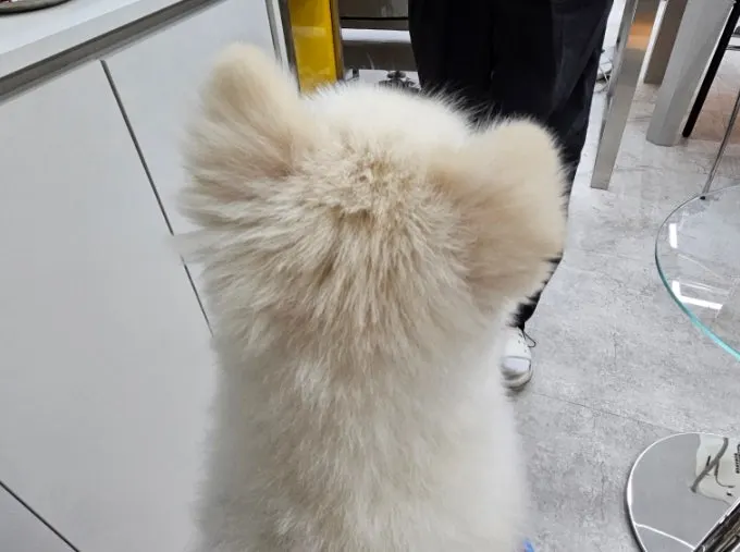 대기석에서 챙겨 먹은 커피와 과자