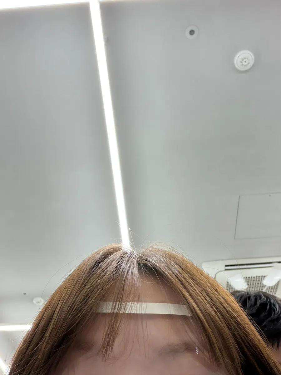 Forehead shield applied in preparation for the dye