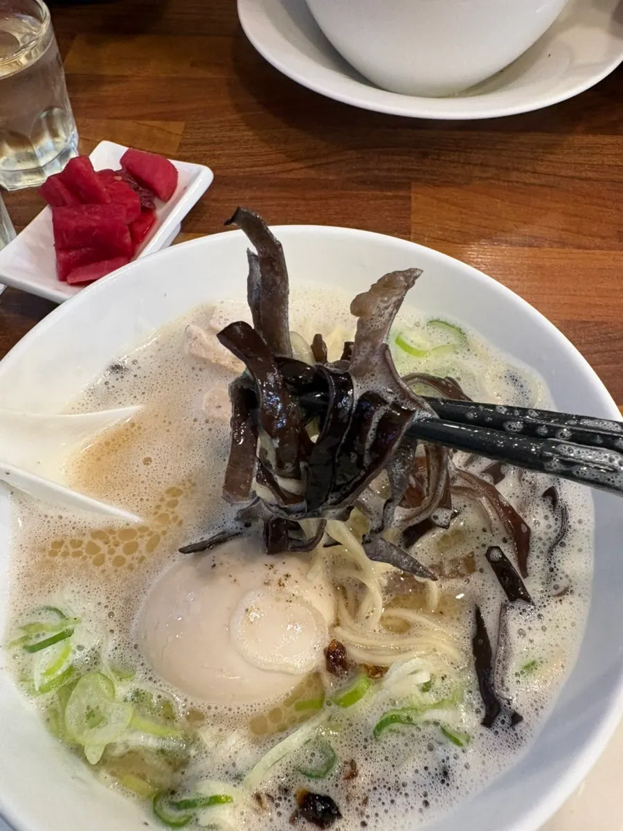 Tori paitan topped with chicken breast and a soft-boiled egg