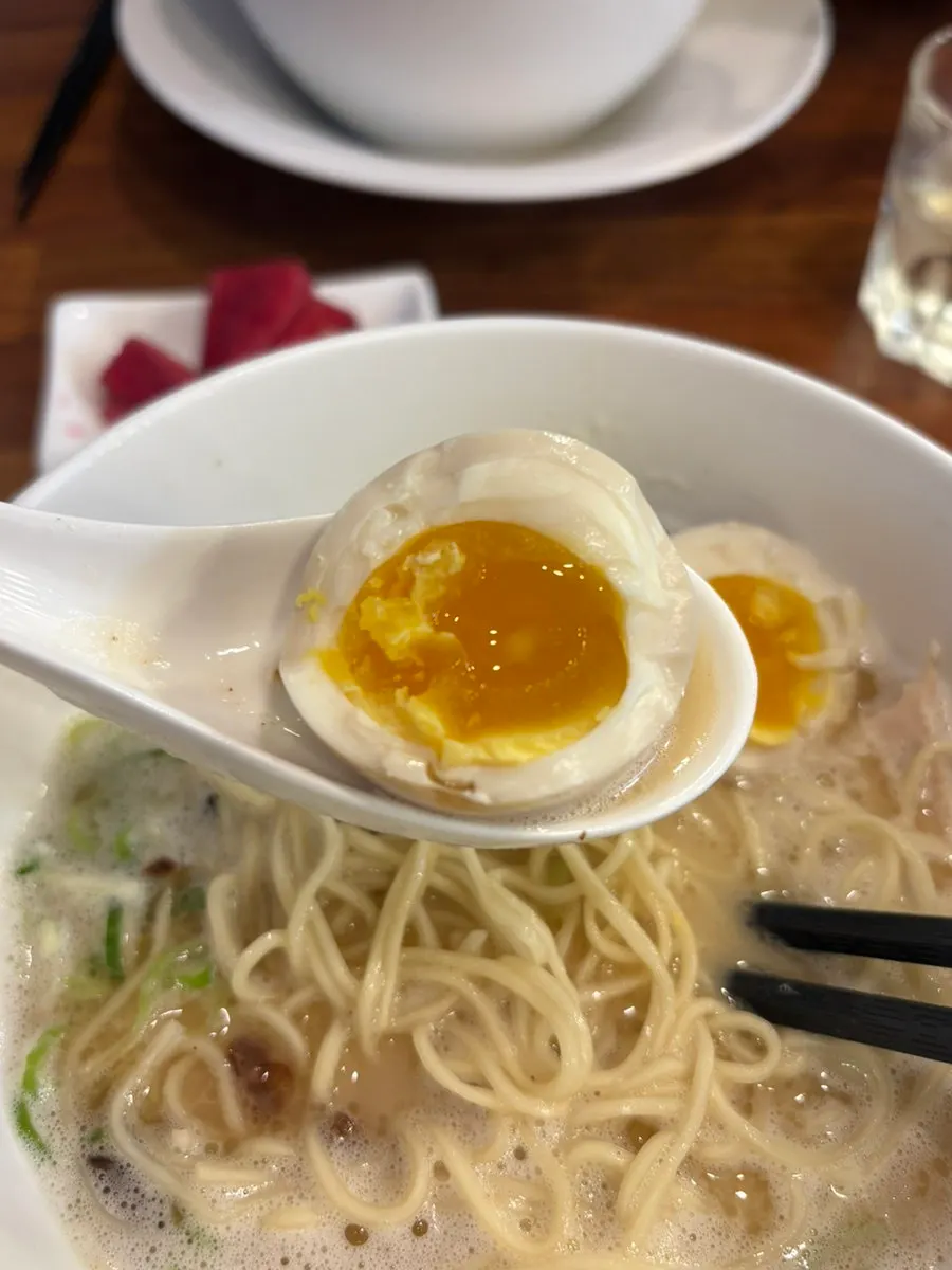 Noodles and rich chicken broth in the tori paitan
