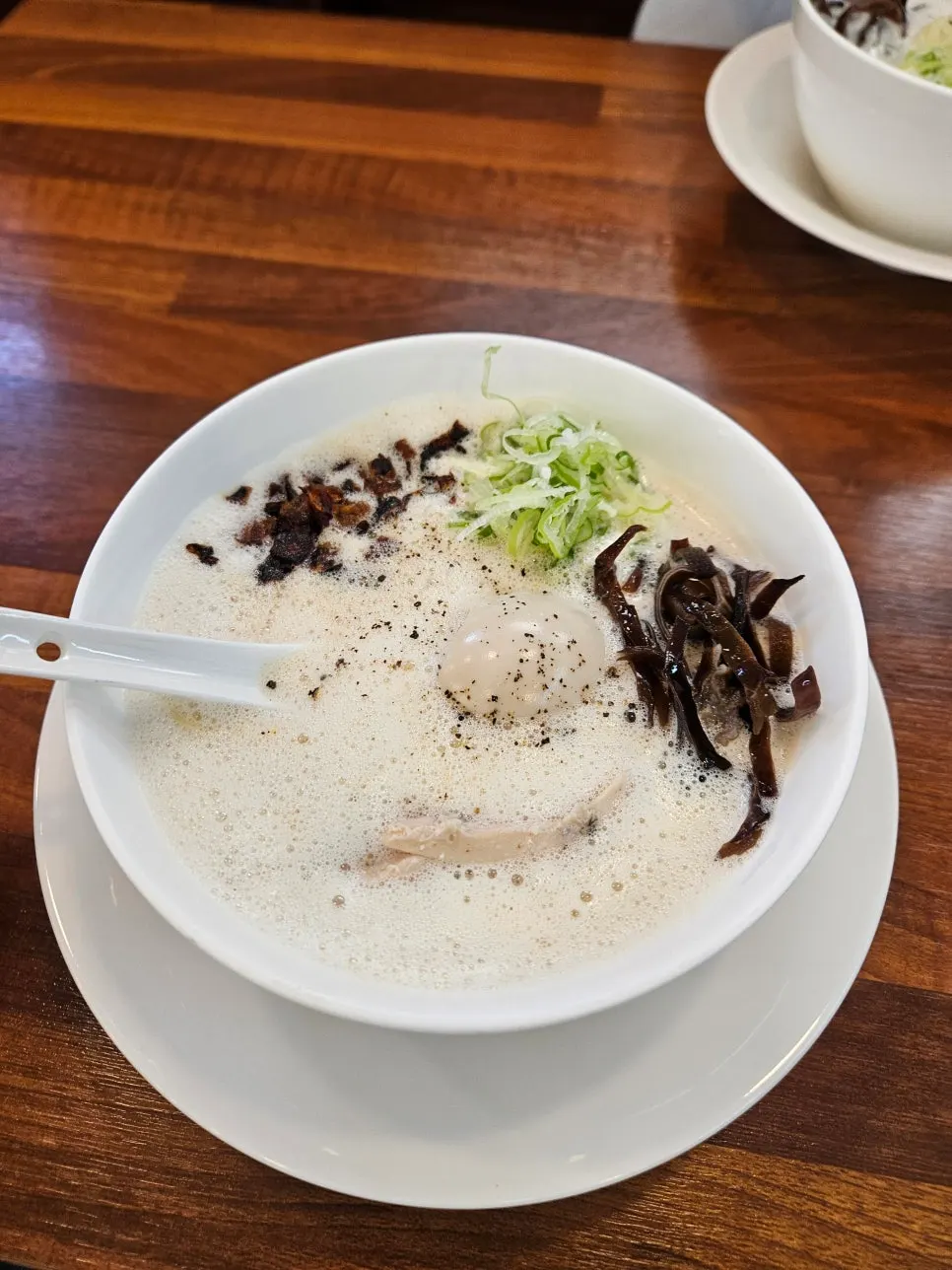 닭고기와 반숙란, 파가 올라간 토리빠이탄