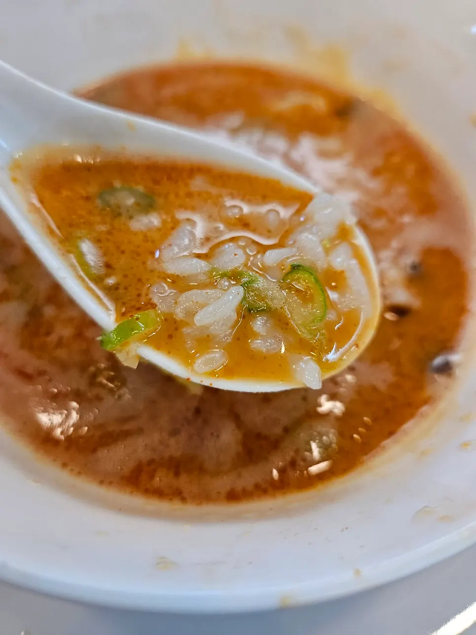 카라빠이탄 면과 진한 닭 육수