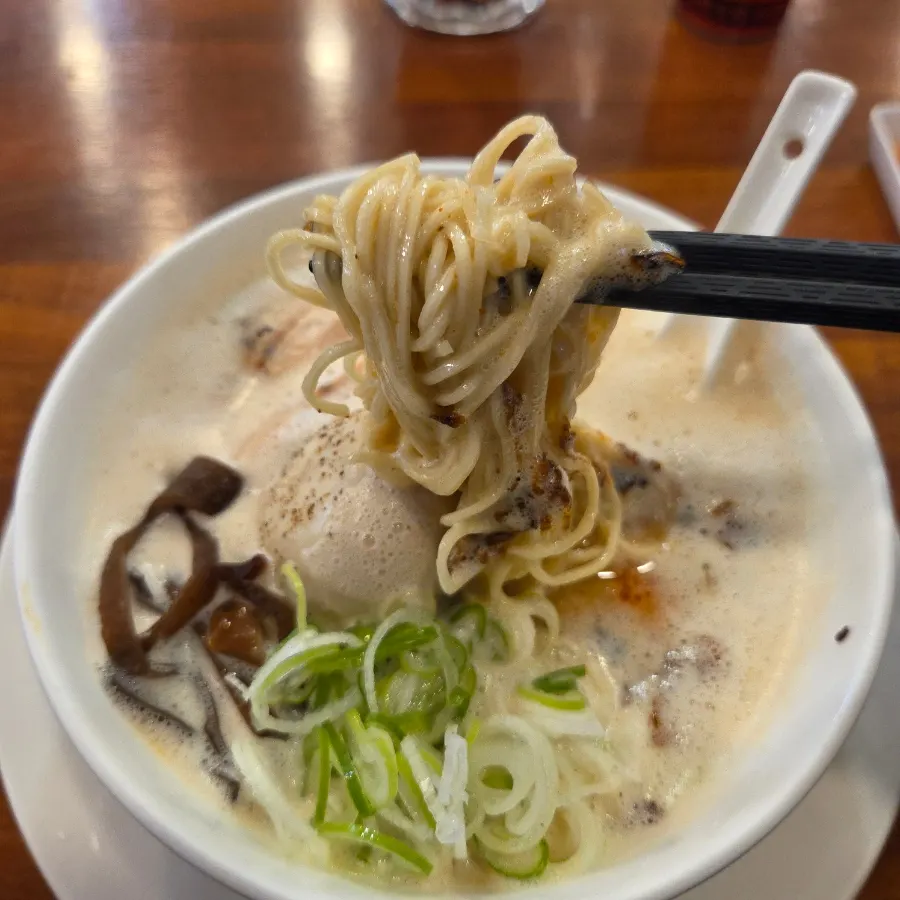 Tori paitan topped with a soft-boiled egg