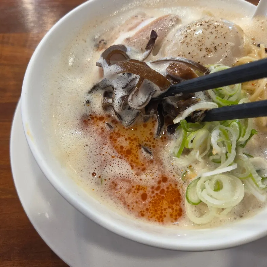 A bowl of spicy kara paitan