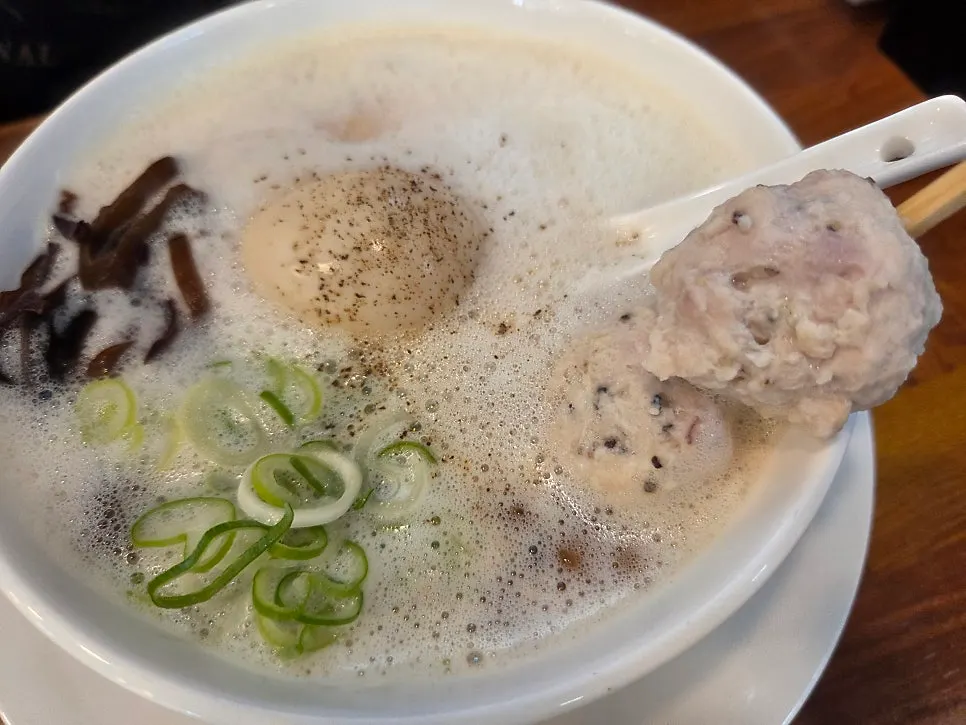 Close-up view of the tori paitan ramen