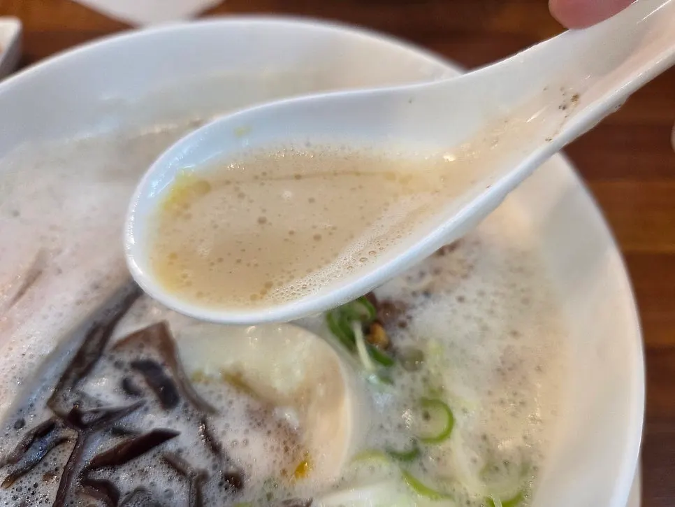 Spoonful of tori paitan broth