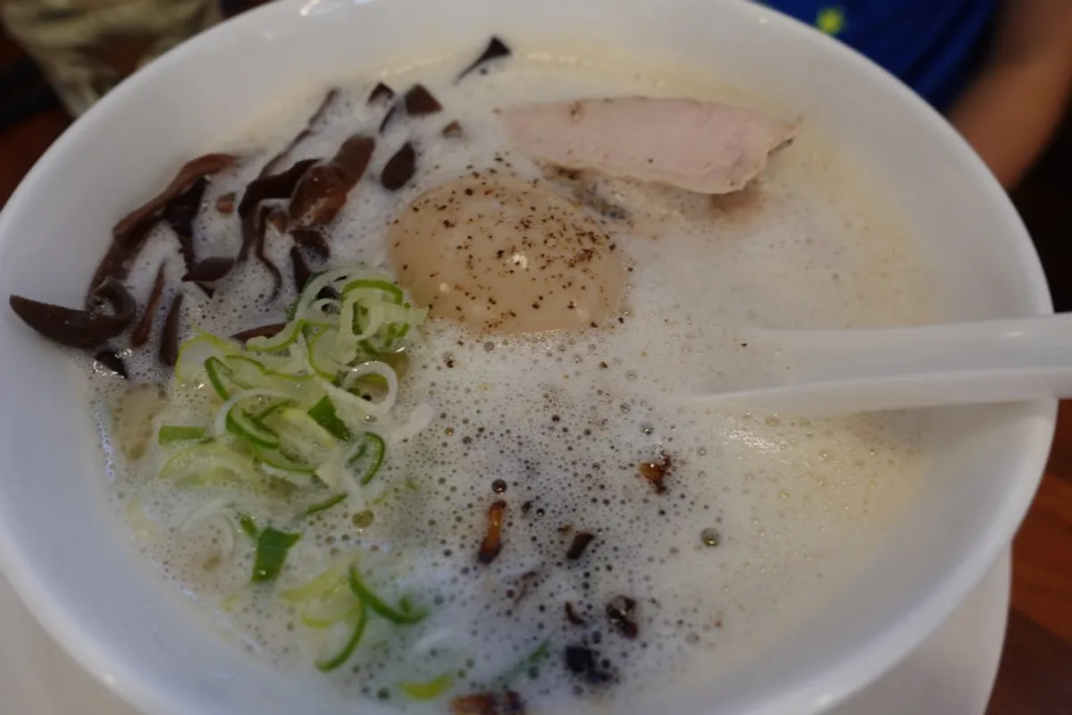 Bowl of rich chicken-broth tori paitan