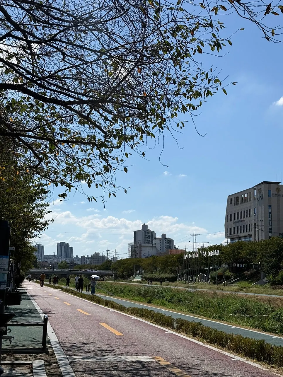 식사를 마친 오레노라멘 은평점 테이블