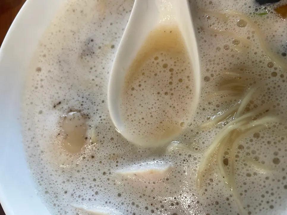 Tori paitan ramen with rich chicken broth