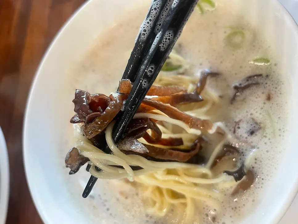 Noodles lifted out of tori paitan broth