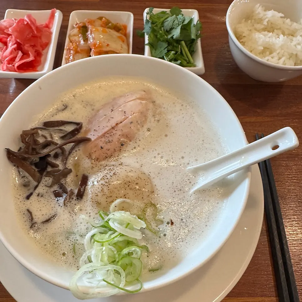 오레노라멘 강남점 토리빠이탄 라멘 한 그릇