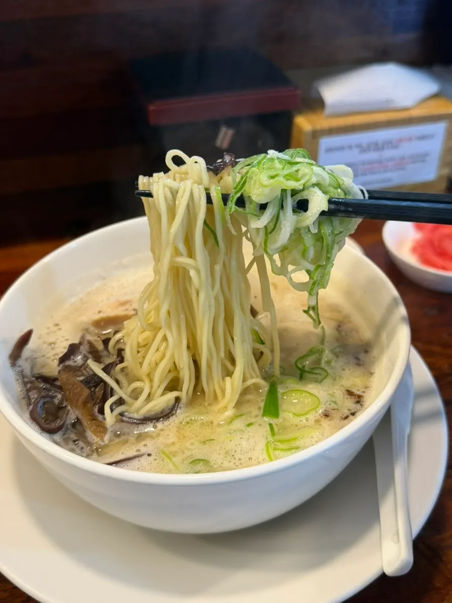 Close-up of tori paitan chicken broth and toppings