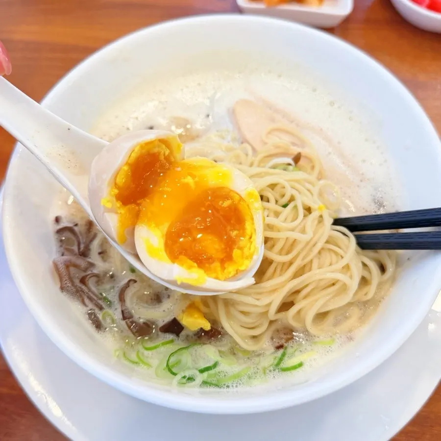 裹满浓郁鸡汤的细面条挑起特写