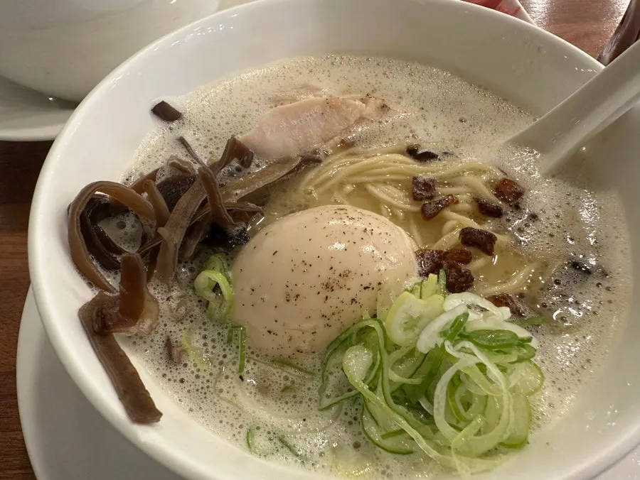 Bubbly tori paitan broth with toppings