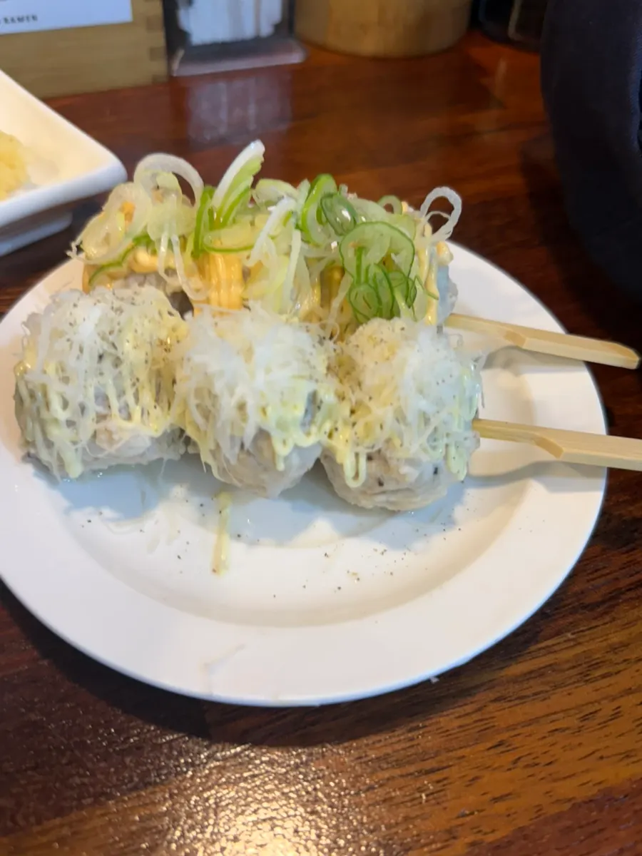 카라빠이탄과 토리빠이탄 라멘 그릇