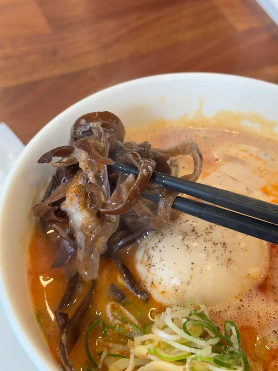 카라빠이탄 매콤한 닭 육수 클로즈업