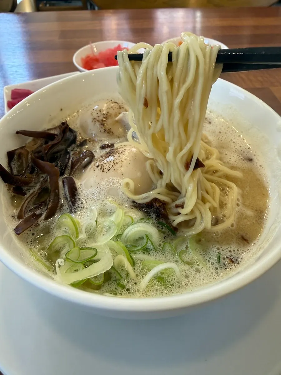 Noodles and toppings submerged in the broth