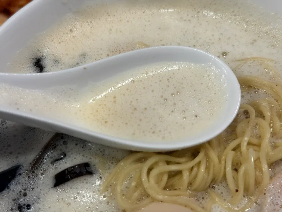 Noodles lifted up coated in broth