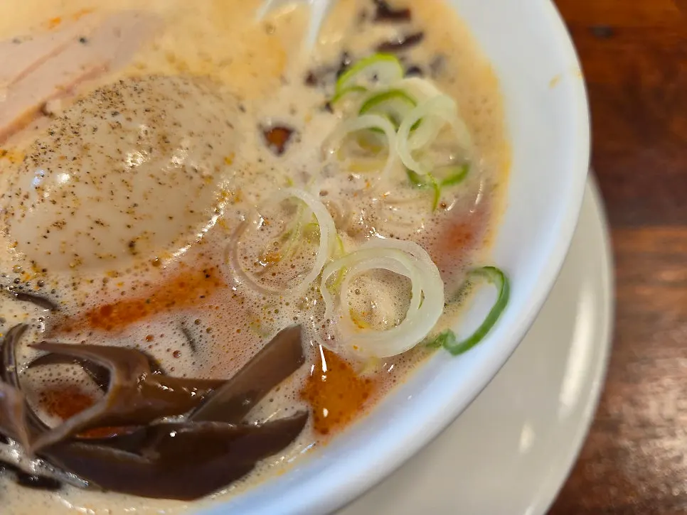 Chicken breast chashu and wood ear mushroom toppings