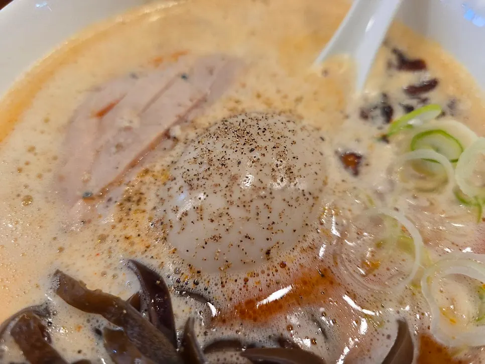 Spoonful of kara paitan broth