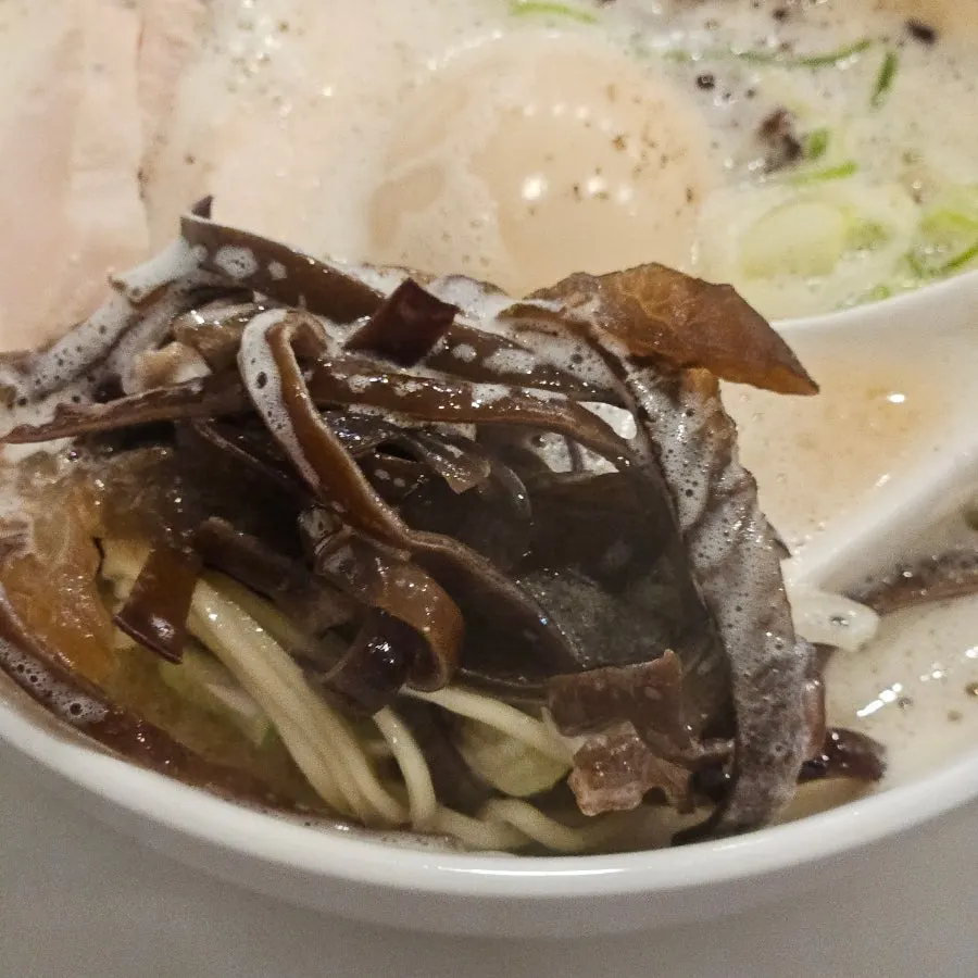 Springy ramen noodles lifted with chopsticks