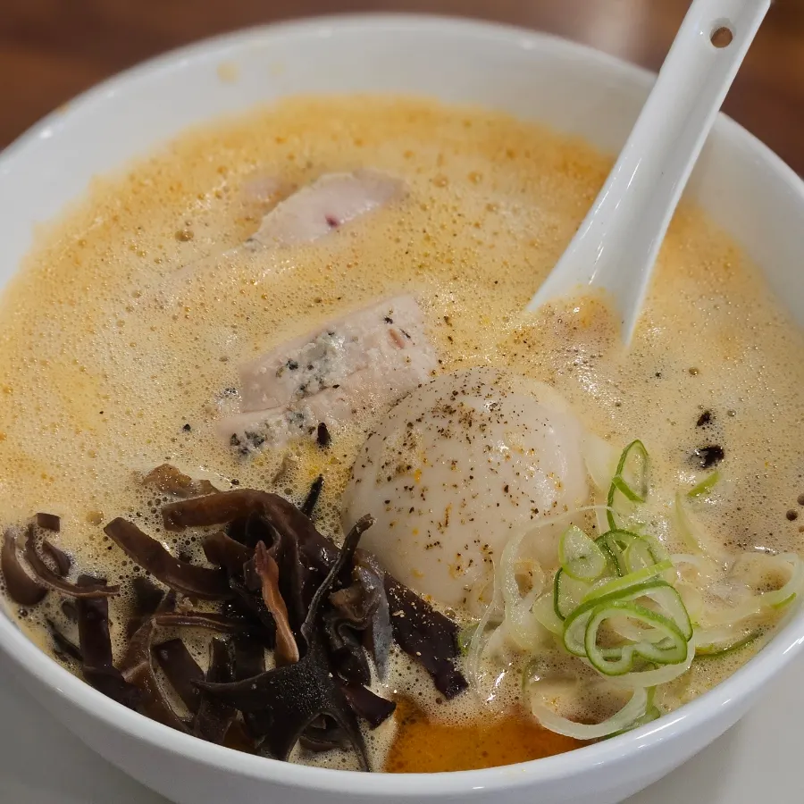 A bowl of the slightly spicy kara paitan