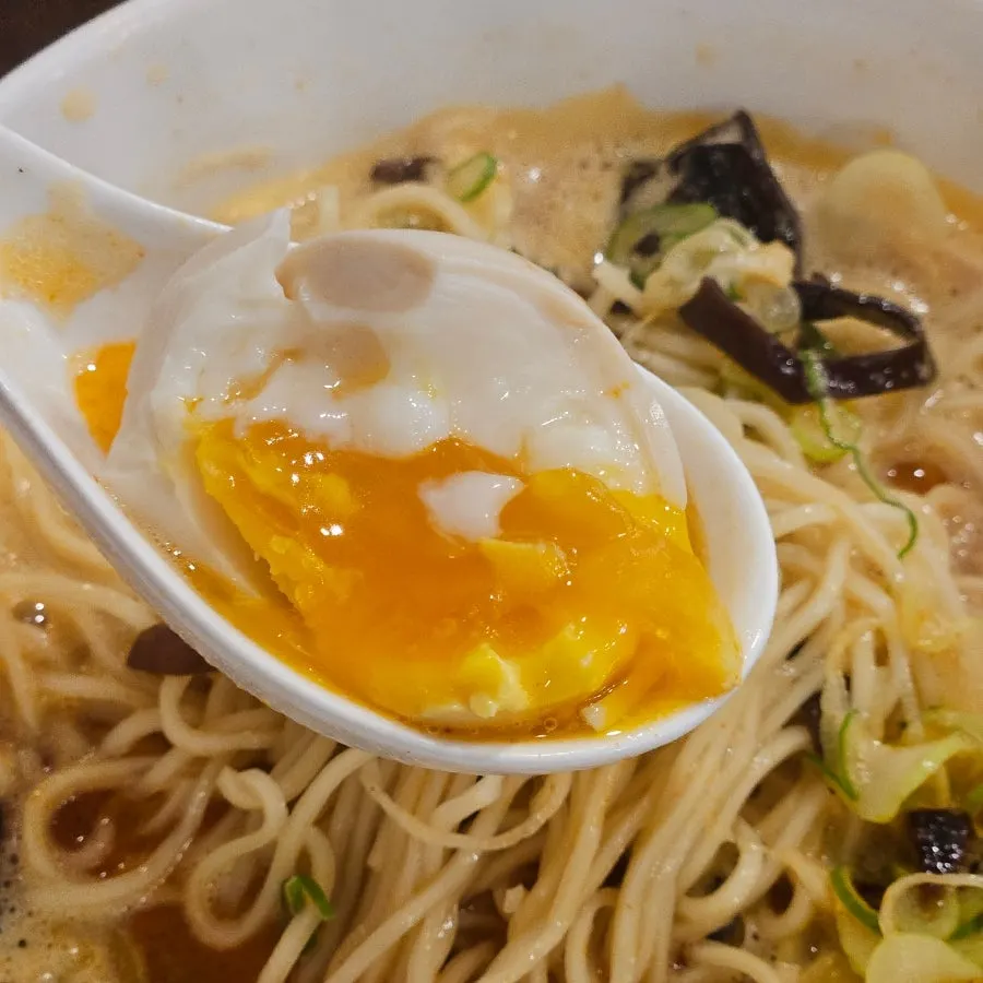 Tori paitan and kara paitan side by side for comparison
