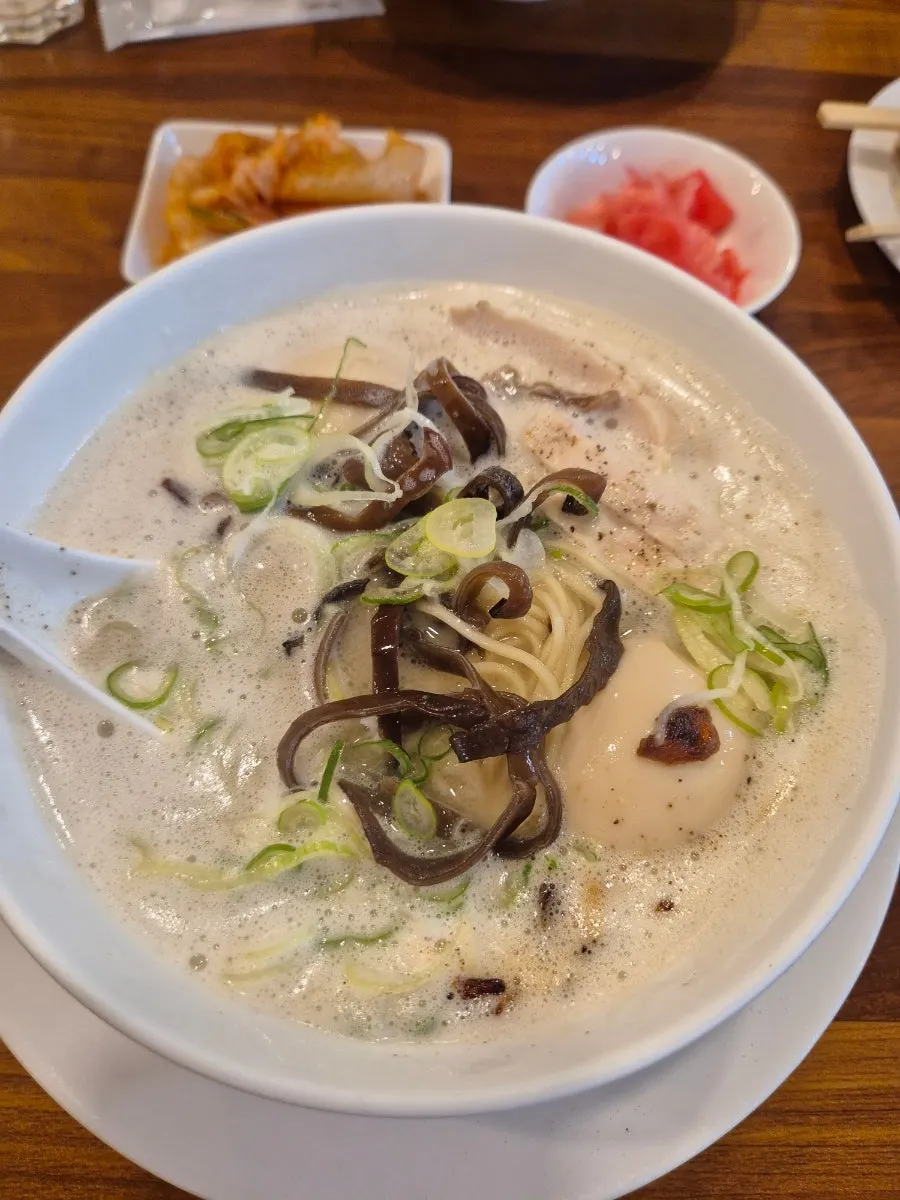 A bowl of mild tori paitan ramen