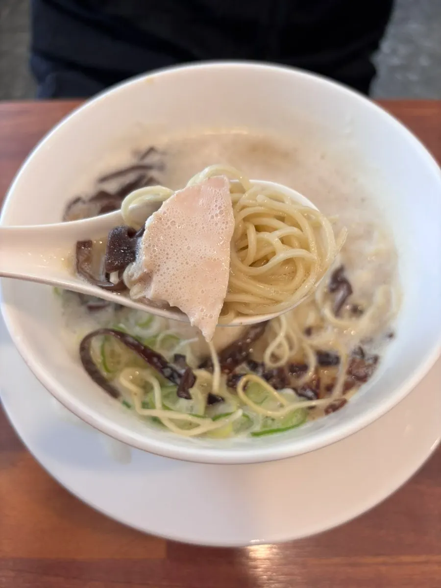 Noodles lifted up from the tori paitan